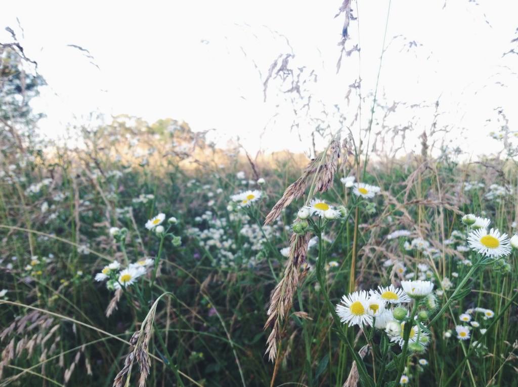 Time to Grow&nbsp;up