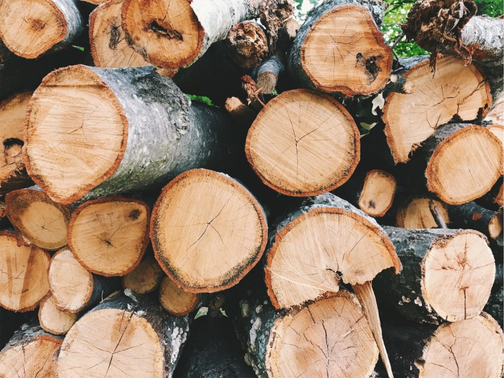 A Shield and&nbsp;Refuge