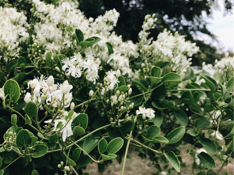 Faithful in the&nbsp;Small