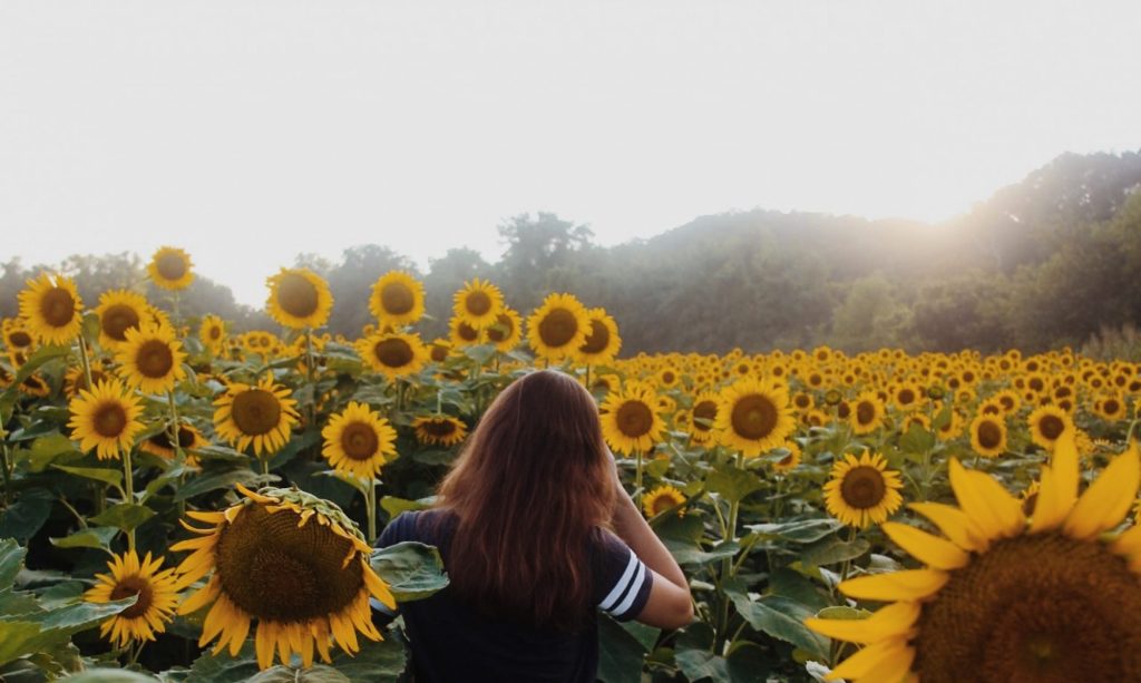 This is the Way; Walk in it.