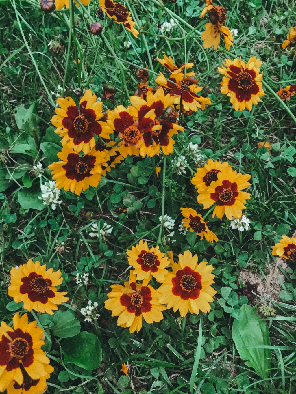 “Everyday People” intro.